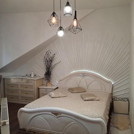 Apartment Penthouse Kišiněv Pokoj fotografie